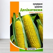Насіння кукурудзи цукрової Деликатесна, 20г, ТМ Яскрава